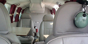 Cessna 340 view for Switzerland charter